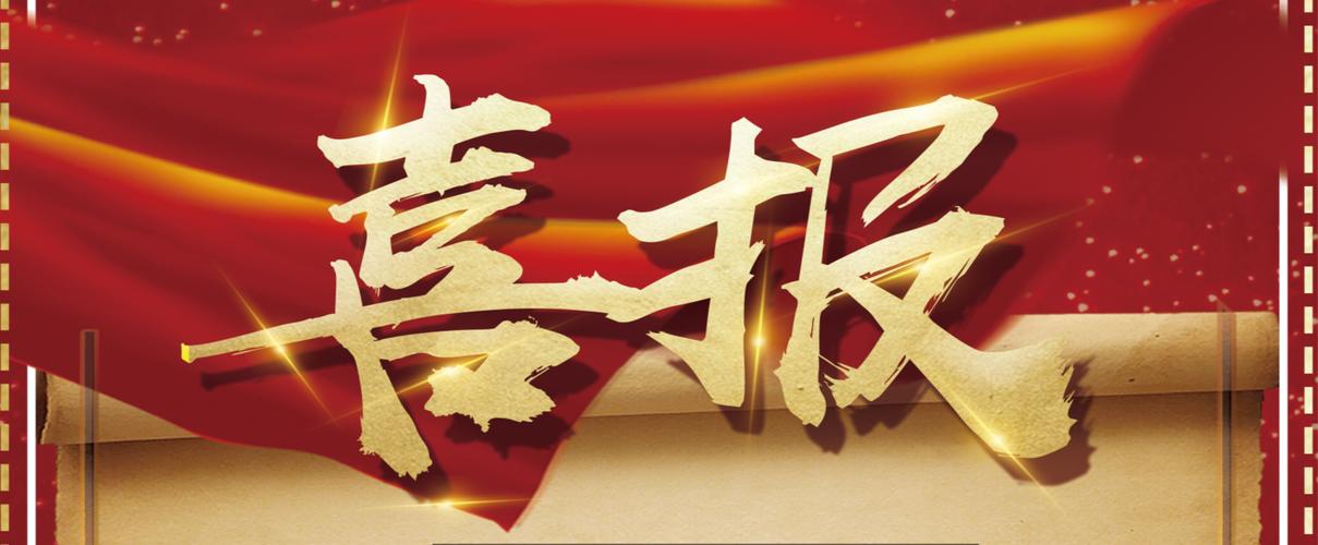可视化蜘蛛池